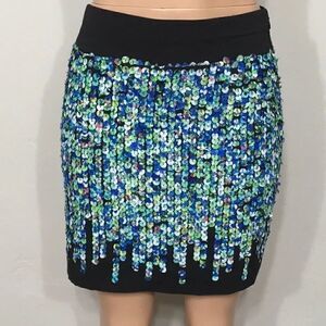 Ann Taylor cloth flip skirt. NWOT